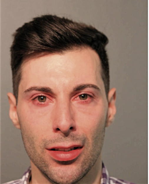 CORENTIN S MENIACA, Cook County, Illinois