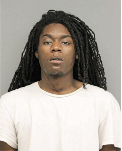 CHRISTOPHER N MILLER, Cook County, Illinois