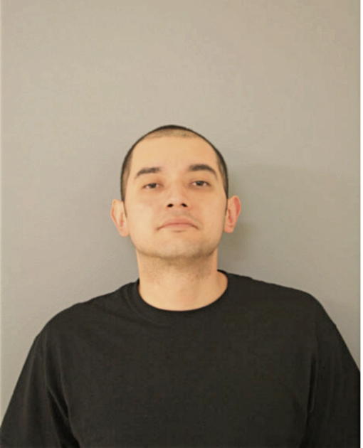 LUIS A NEVAREZ, Cook County, Illinois