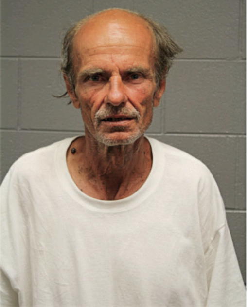 MICHAEL W OLLIS, Cook County, Illinois