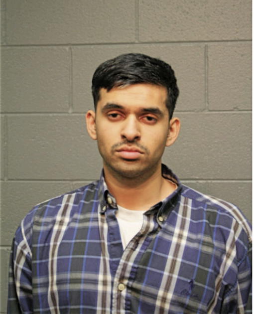 HEMANT C PATEL, Cook County, Illinois