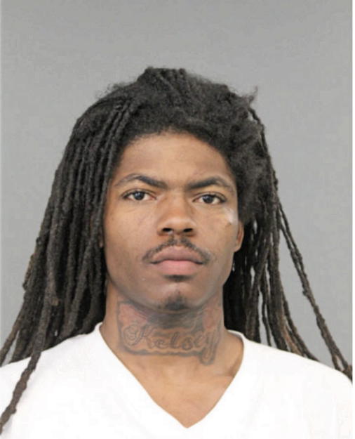 DONOVAN L REDDING, Cook County, Illinois