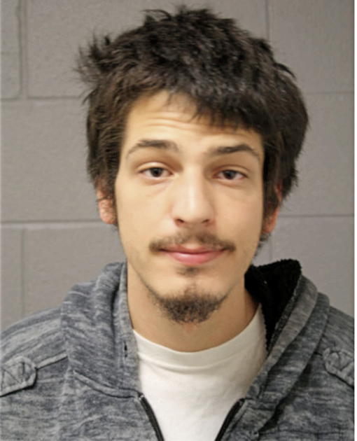 ADAM M SENASE, Cook County, Illinois