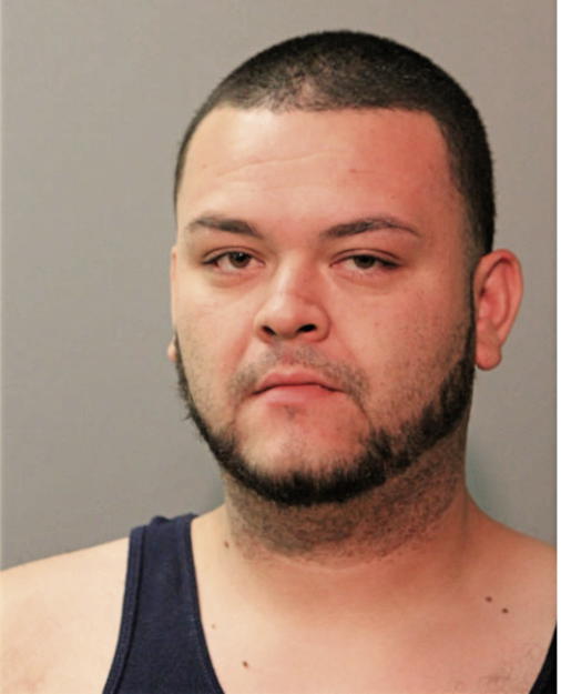 ROBERT J SOYOS, Cook County, Illinois