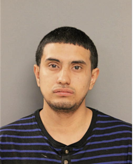 SALVADOR SUAREZ, Cook County, Illinois