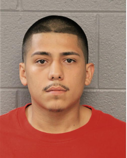 DAVID TORRES, Cook County, Illinois