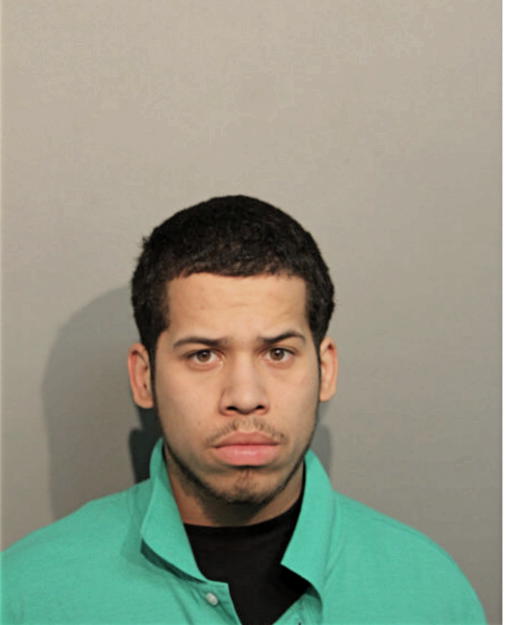 JOSHUA J VEGA, Cook County, Illinois