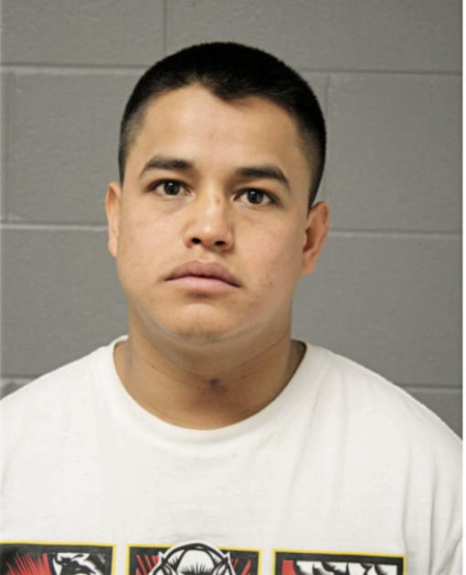 LORENZO VIVEROS, Cook County, Illinois