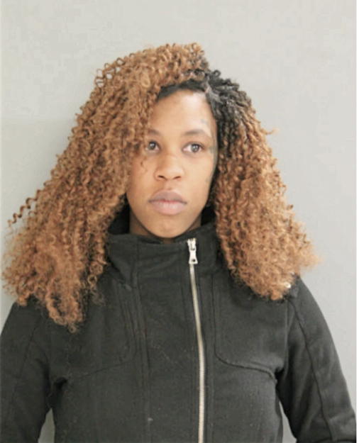ERICKA T YOUNG, Cook County, Illinois