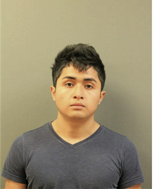 DAVID A ALONZO, Cook County, Illinois
