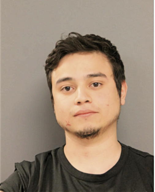 ENRIQUE L BORGES, Cook County, Illinois