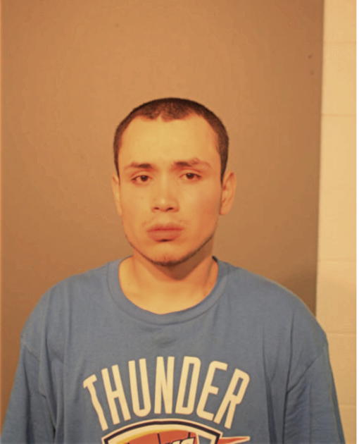 MARIO A CERNAS, Cook County, Illinois
