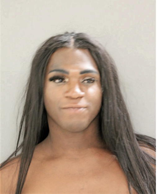 TERRY J CRAFT, Cook County, Illinois