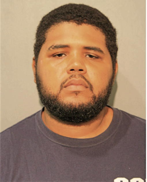 CHRISTOPHER D DILLINGHAM, Cook County, Illinois