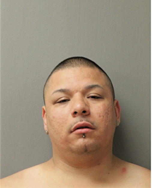 FRANK A FLORES, Cook County, Illinois