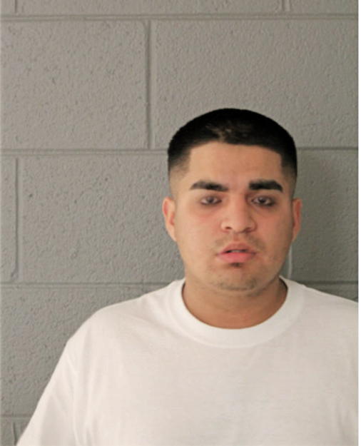 JOSE GUADALUPE FLORES-MARTINEZ, Cook County, Illinois
