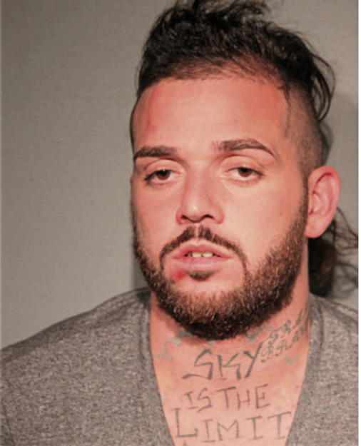 NICOLAS D FRANCO, Cook County, Illinois