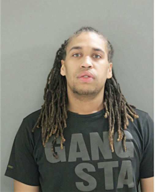 BRETT L HALL, Cook County, Illinois