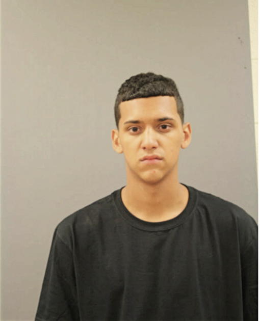 JAMIE HERNANDEZ, Cook County, Illinois