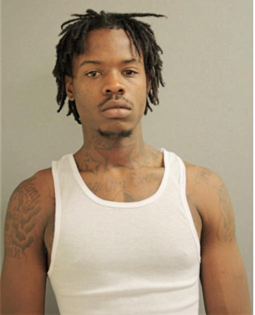 GEORGE K JOHNSON, Cook County, Illinois