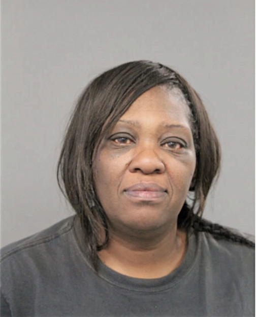 JANICE M JOHNSON, Cook County, Illinois