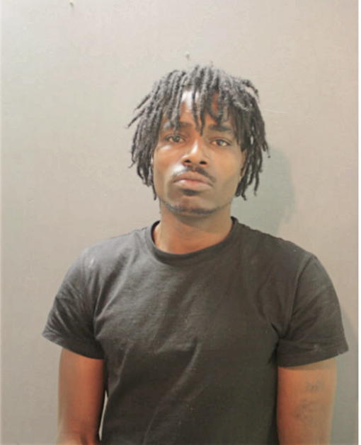TERRY L KING, Cook County, Illinois
