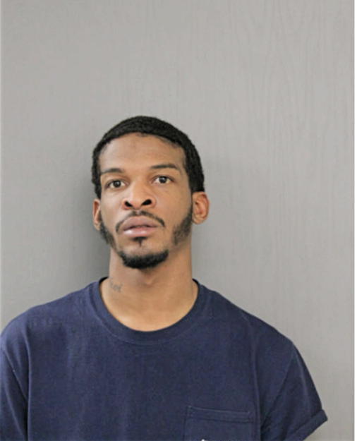 CEDRIC T LANGFORD, Cook County, Illinois