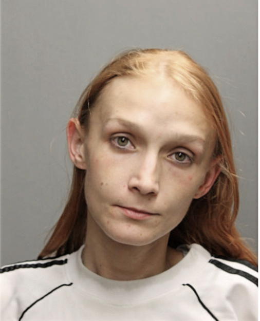 MICHELLE L LEWANDOWSKI, Cook County, Illinois