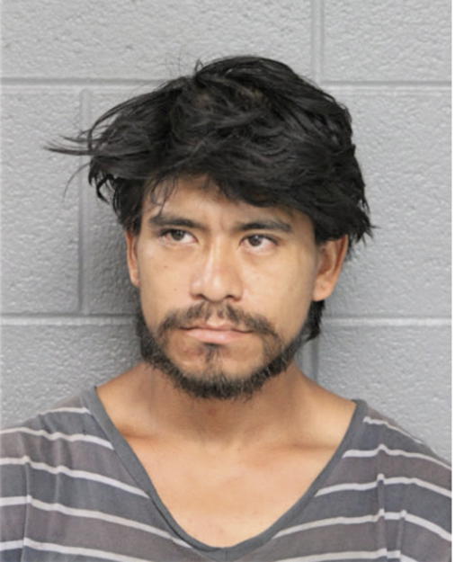 MISAEL M MELCHOR, Cook County, Illinois