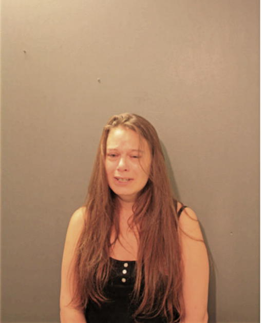 MELISSA METZ, Cook County, Illinois