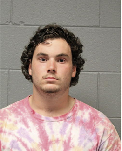 ANDREW G NAEGELE, Cook County, Illinois