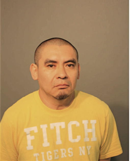 MIGUEL A ORELLANA, Cook County, Illinois