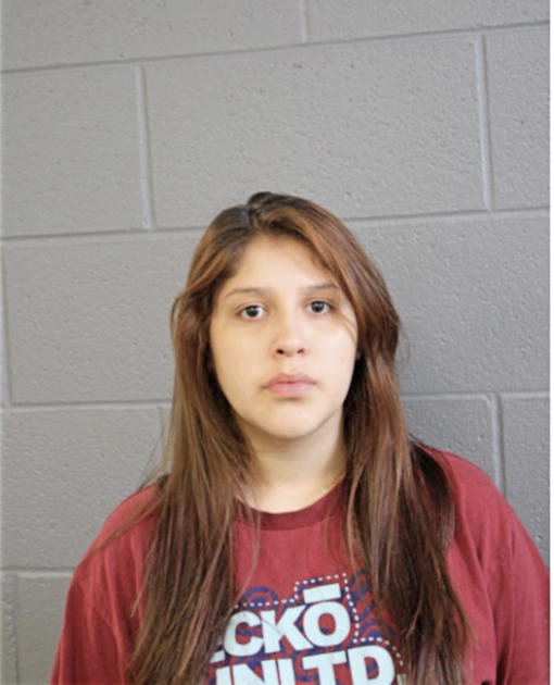 JASMIN S REVELES, Cook County, Illinois