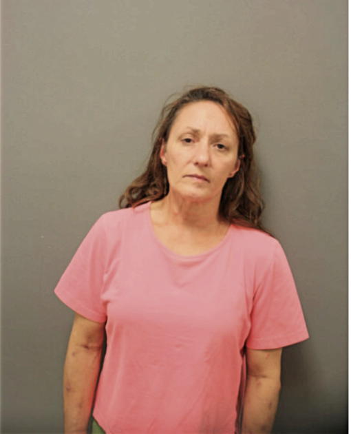 TINA L SANTORO, Cook County, Illinois