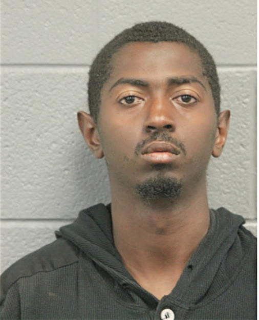 MICHAEL M VENSON, Cook County, Illinois
