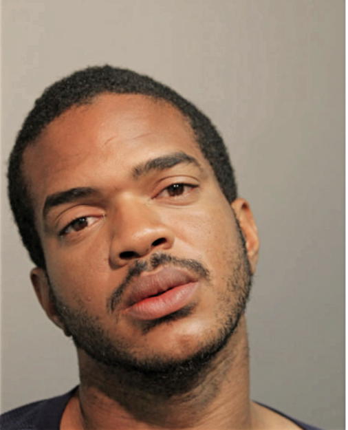 BRANDON M WHITE, Cook County, Illinois