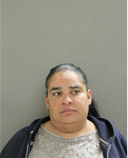 LORI S WILLIAMS, Cook County, Illinois