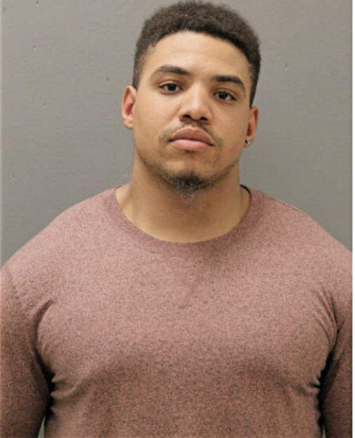 CHRISTOPHER J WINSTON, Cook County, Illinois