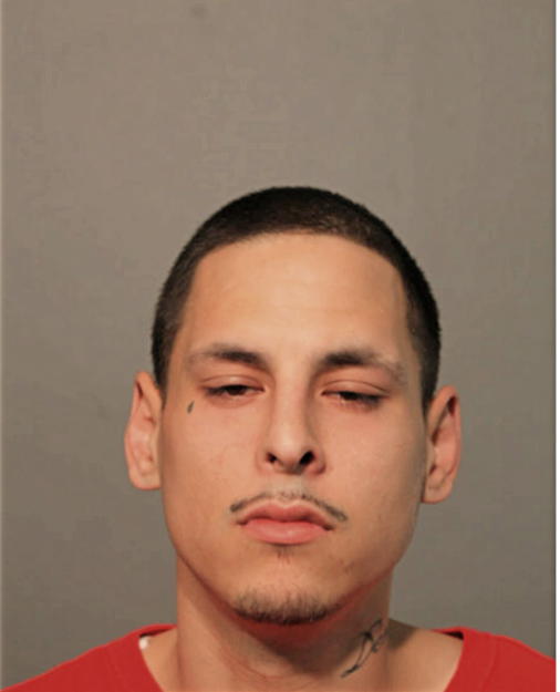 ANTHONY J ZAFIRO, Cook County, Illinois