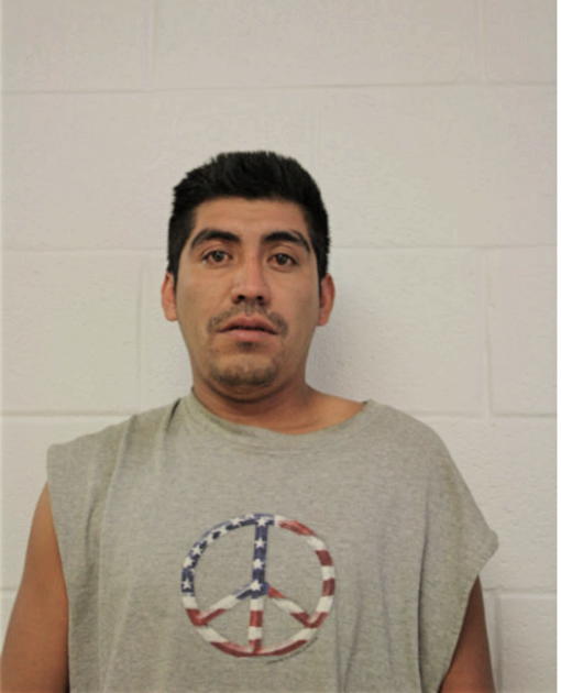 ADOLFO AGREDA, Cook County, Illinois