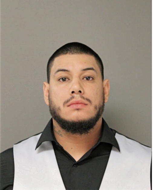 NATHAN L ALEMAN, Cook County, Illinois