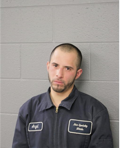 ANGEL D ARRIAGA, Cook County, Illinois