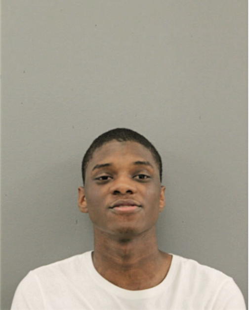 MICHAEL S BOYKIN, Cook County, Illinois