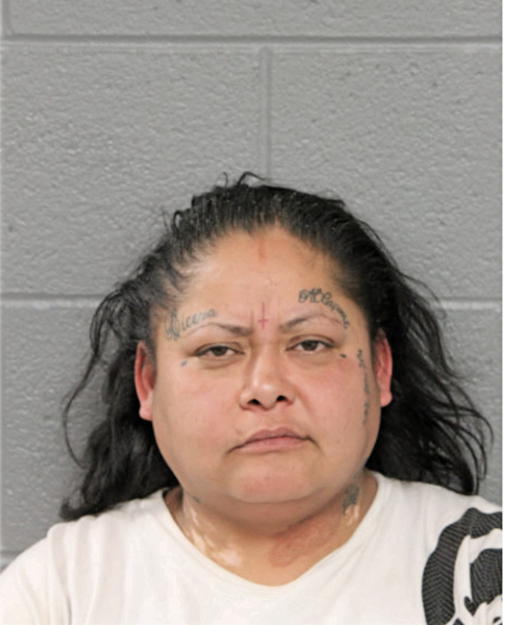 ANITA A CARLOS, Cook County, Illinois