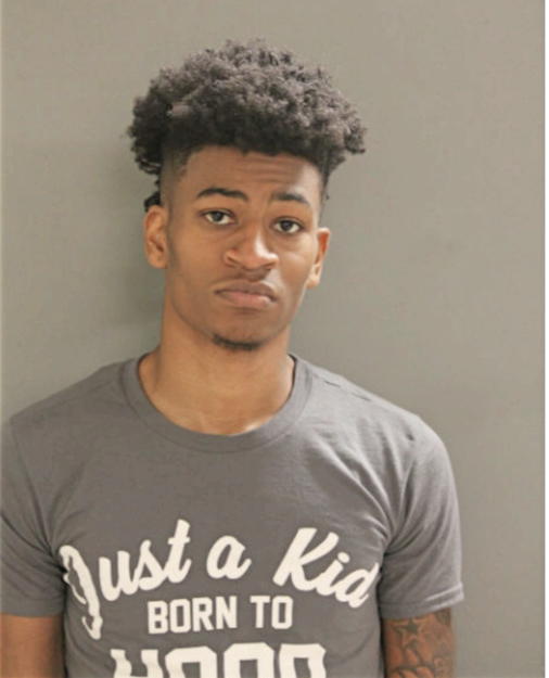 OLUFEMI ELUTILO, Cook County, Illinois