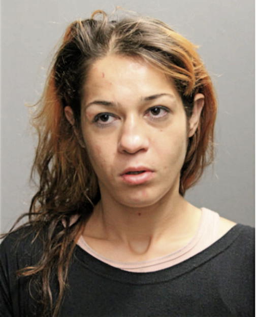 SINEM L ERGUL, Cook County, Illinois