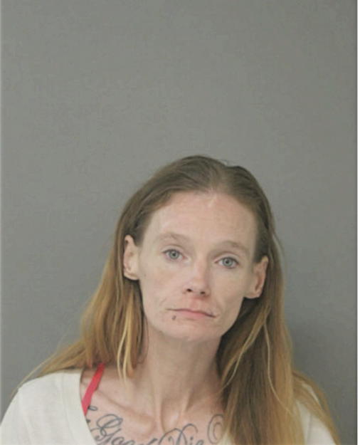 CARRIE A FARLEY, Cook County, Illinois