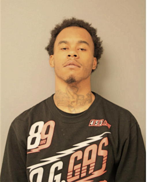 TYJUAN S HAMILTON, Cook County, Illinois