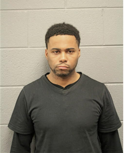 CHRISTOPHER L JOHNSON, Cook County, Illinois