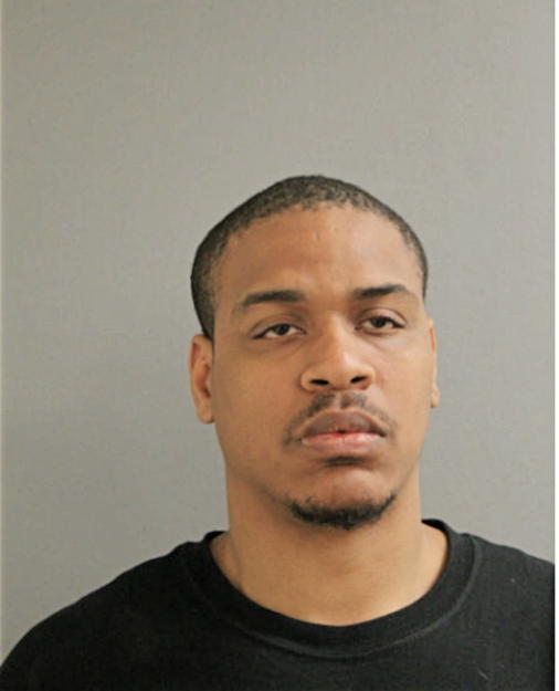 SAMUEL D LANE, Cook County, Illinois